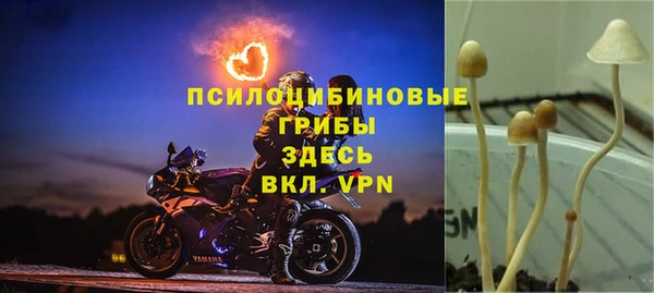 дживик Алзамай