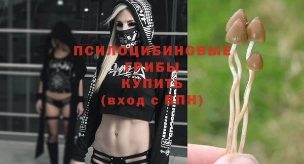 героин Абаза