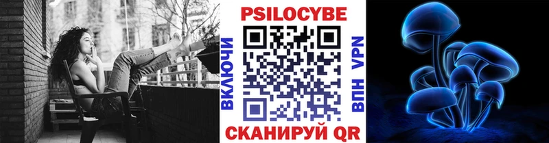 купить наркотики сайты  Бавлы  ОМГ ОМГ ссылка  Псилоцибиновые грибы мухоморы 